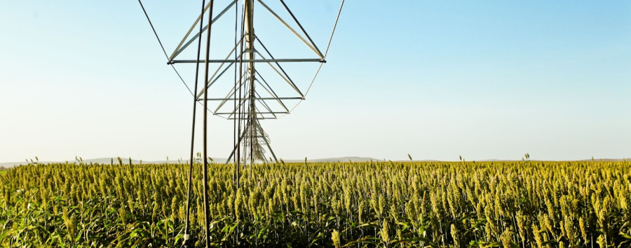 Um olhar sobre o Agro no Norte e Nordeste